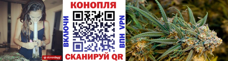 Купить где  Мценск  Бошки марихуана MAZAR 